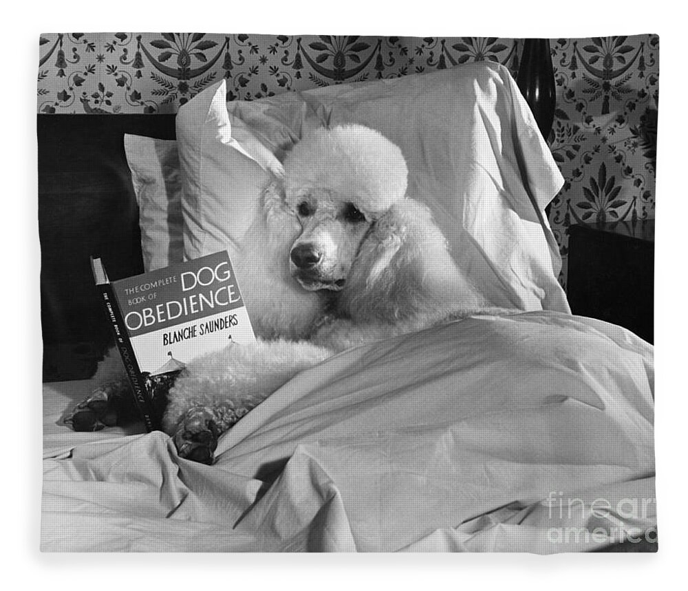 Animal Fleece Blanket featuring the photograph Dog Reading in Bed by M E Browning and Photo Researchers