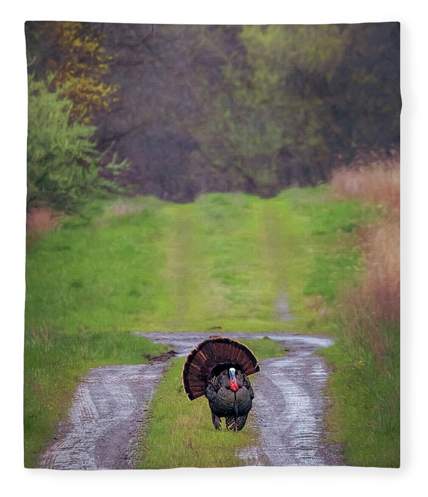 Turkey Fleece Blanket featuring the photograph Doing the Turkey Strut by Susan Rissi Tregoning