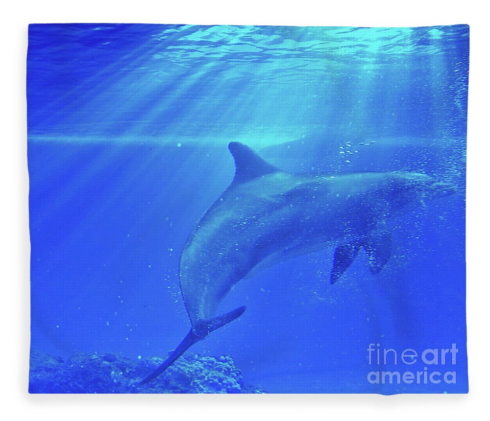 Bubbles Fleece Blanket featuring the photograph Dolphin Bubbles by Stephanie Laird