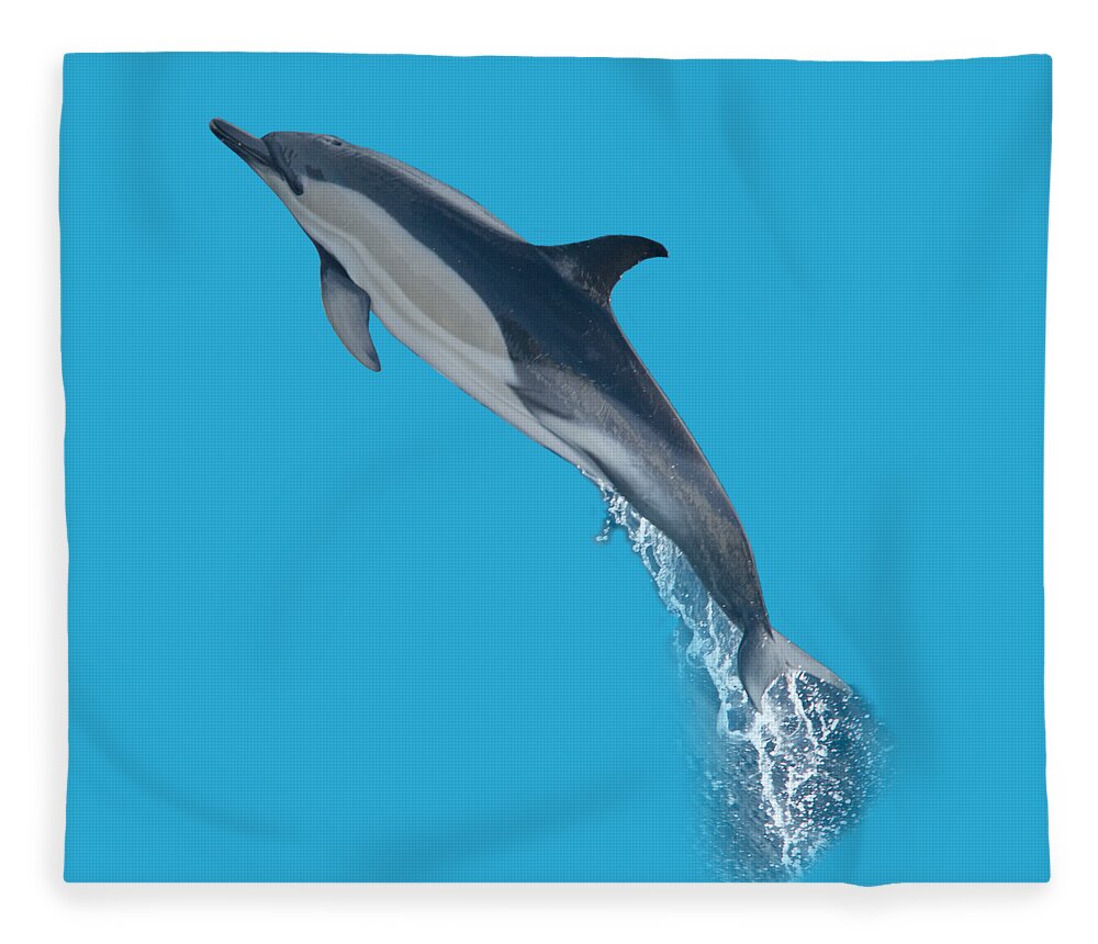 Dolphin Fleece Blanket featuring the photograph Dolphin leaping T-shirt by Tony Mills