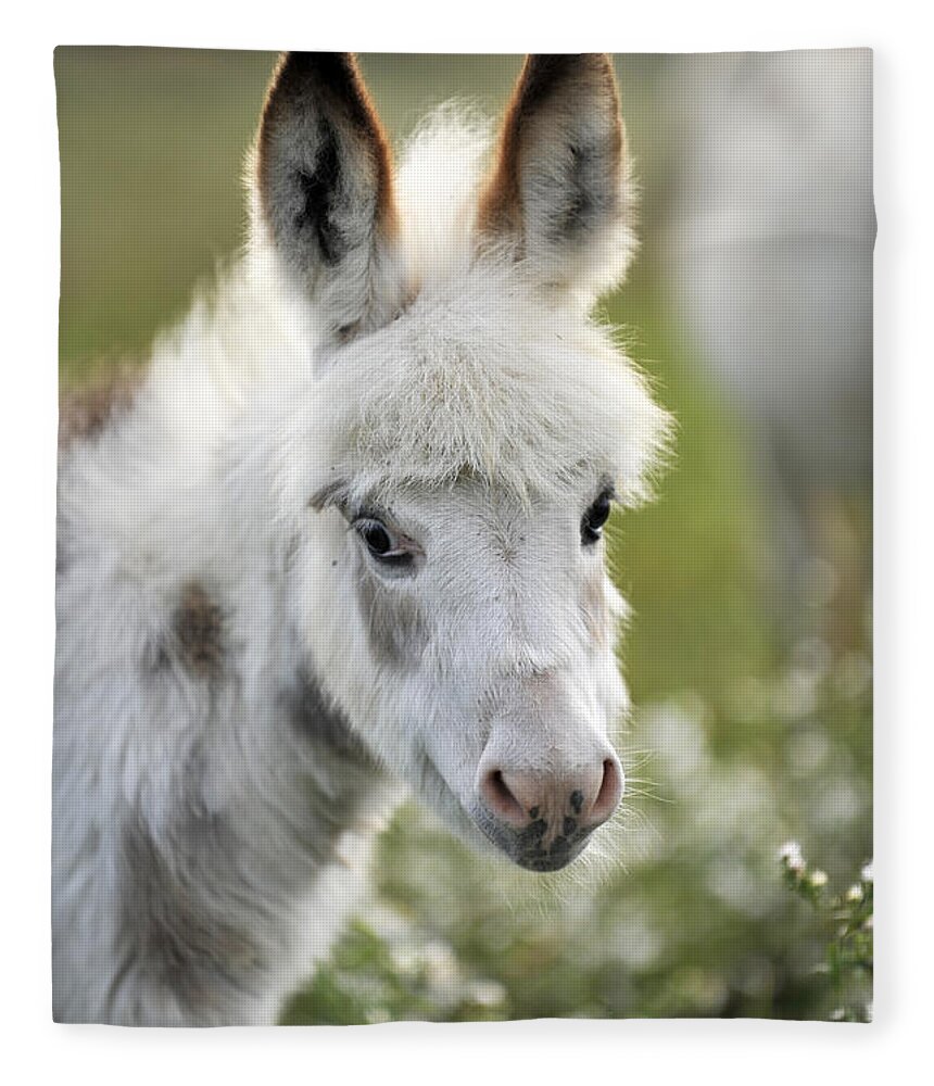 Miniature Fleece Blanket featuring the photograph Donkey Baby by Carien Schippers