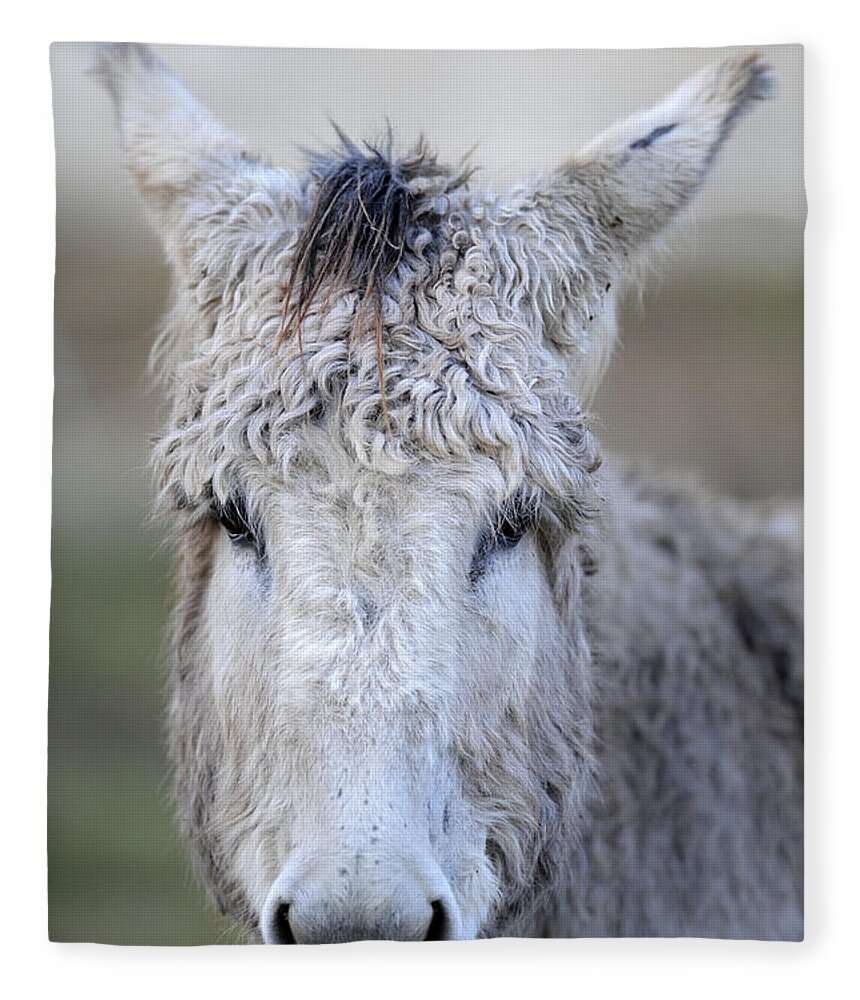 Donkeys Fleece Blanket featuring the photograph Donkeys #1130 by Carien Schippers