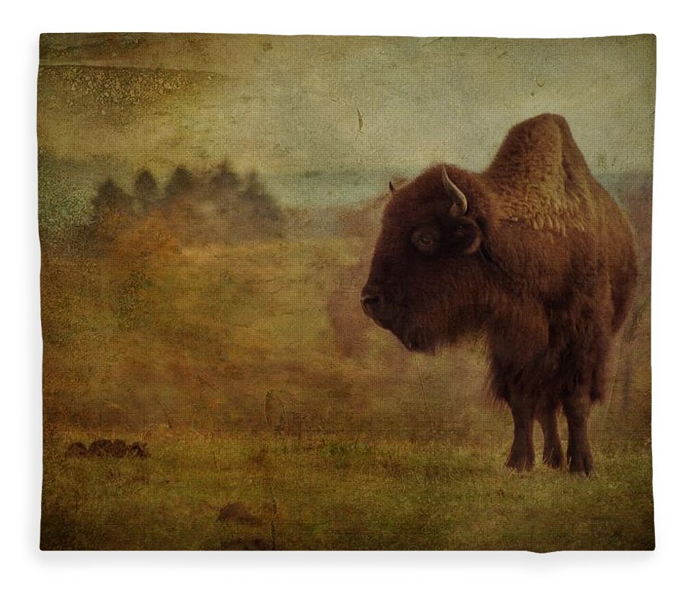 Bison Fleece Blanket featuring the photograph Doo Doo Valley by Trish Tritz