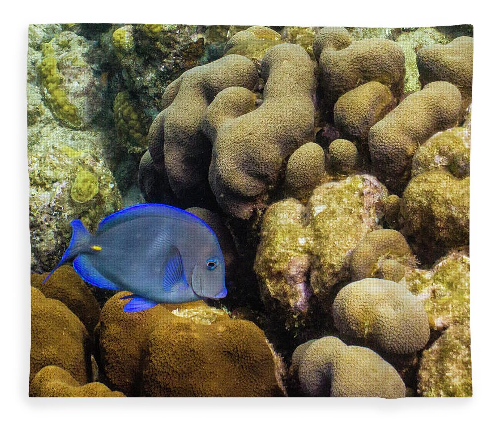 Ocean Fleece Blanket featuring the photograph Dori's Cousin by Lynne Browne