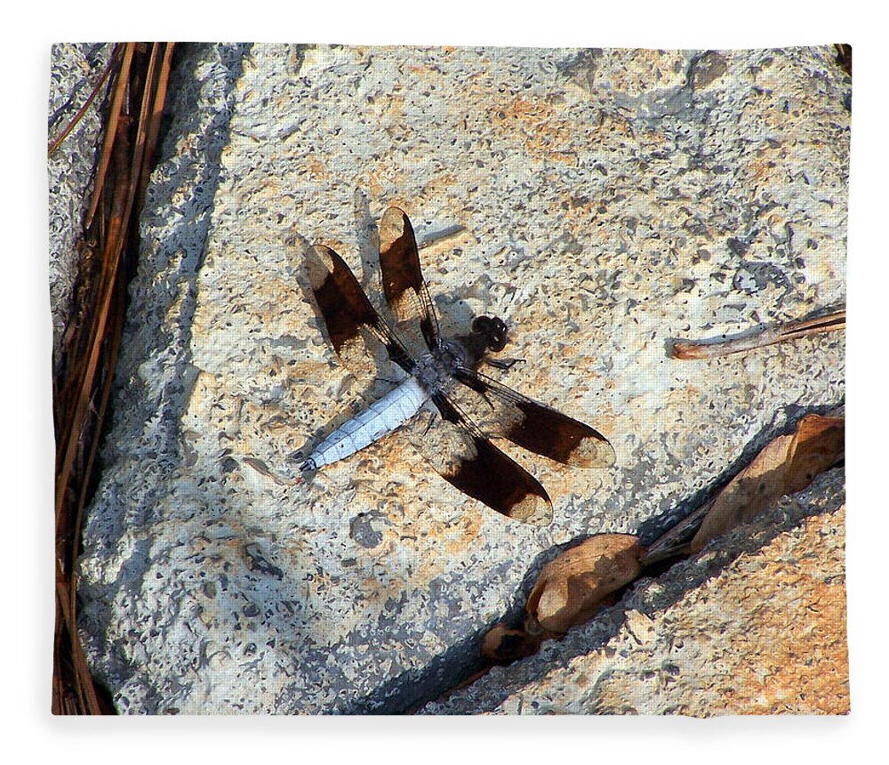 Insects Fleece Blanket featuring the photograph Dragonfly Display by Jennifer Robin