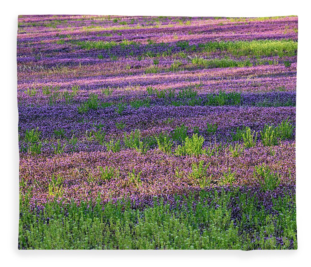 Spring Fleece Blanket featuring the photograph Dreaming of France by Holly Ross