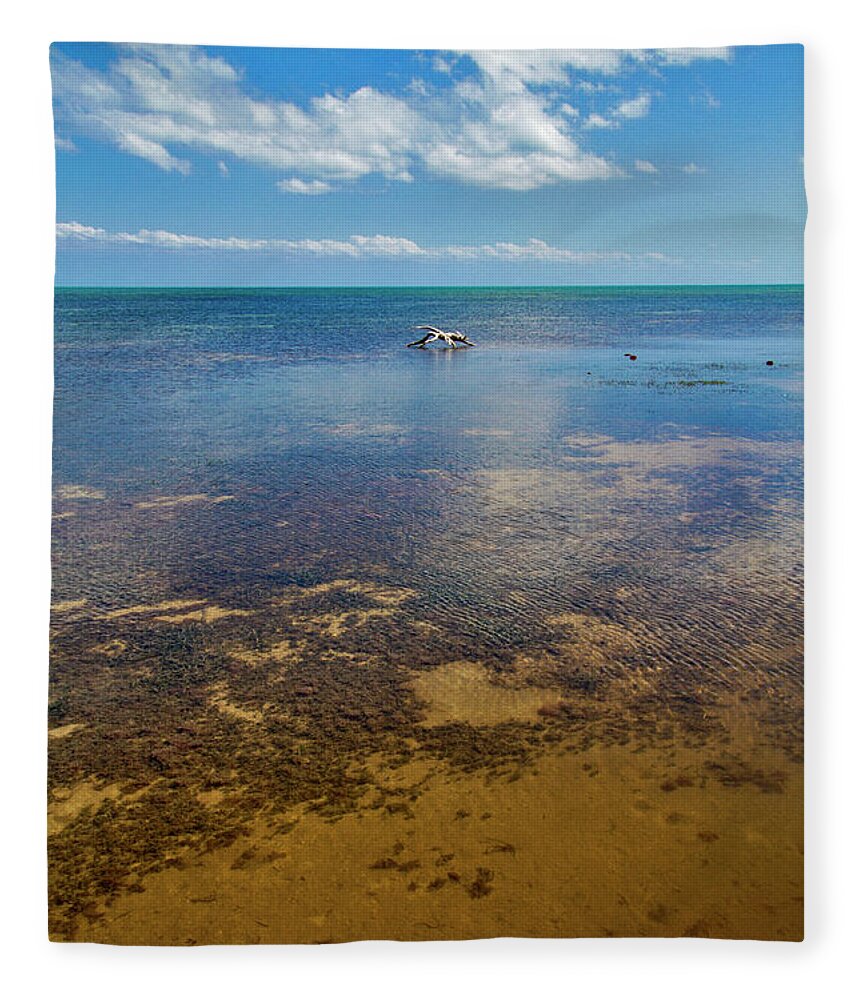 Blue Fleece Blanket featuring the photograph Driftwood at Low Tide in Key West by Bob Slitzan