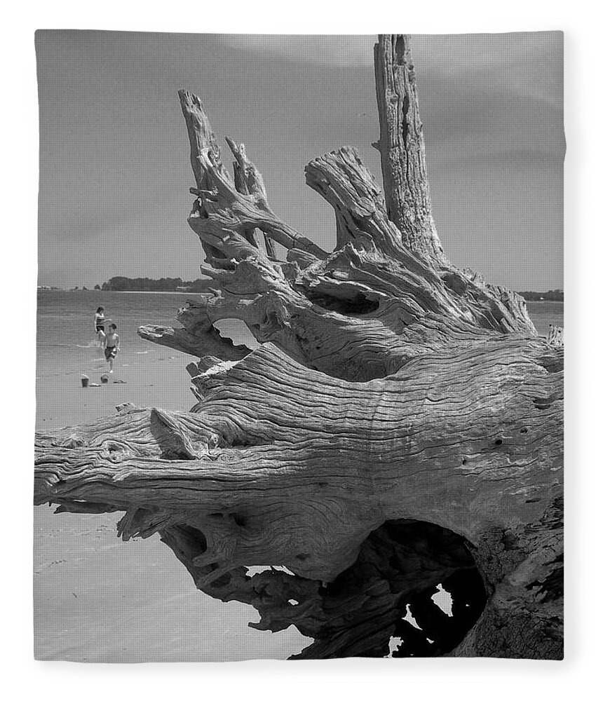 Sand Fleece Blanket featuring the photograph Driftwood Study 2 by Deborah Ferree