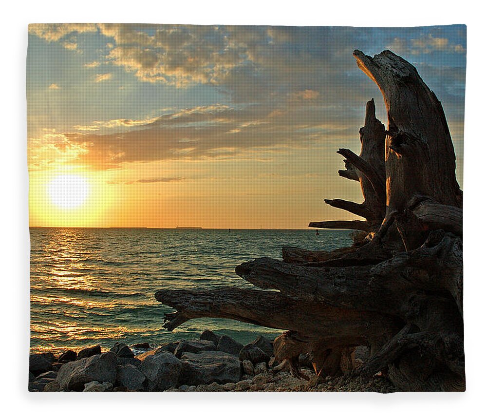 Sunset Fleece Blanket featuring the photograph Driftwood Sunset by Susanne Van Hulst