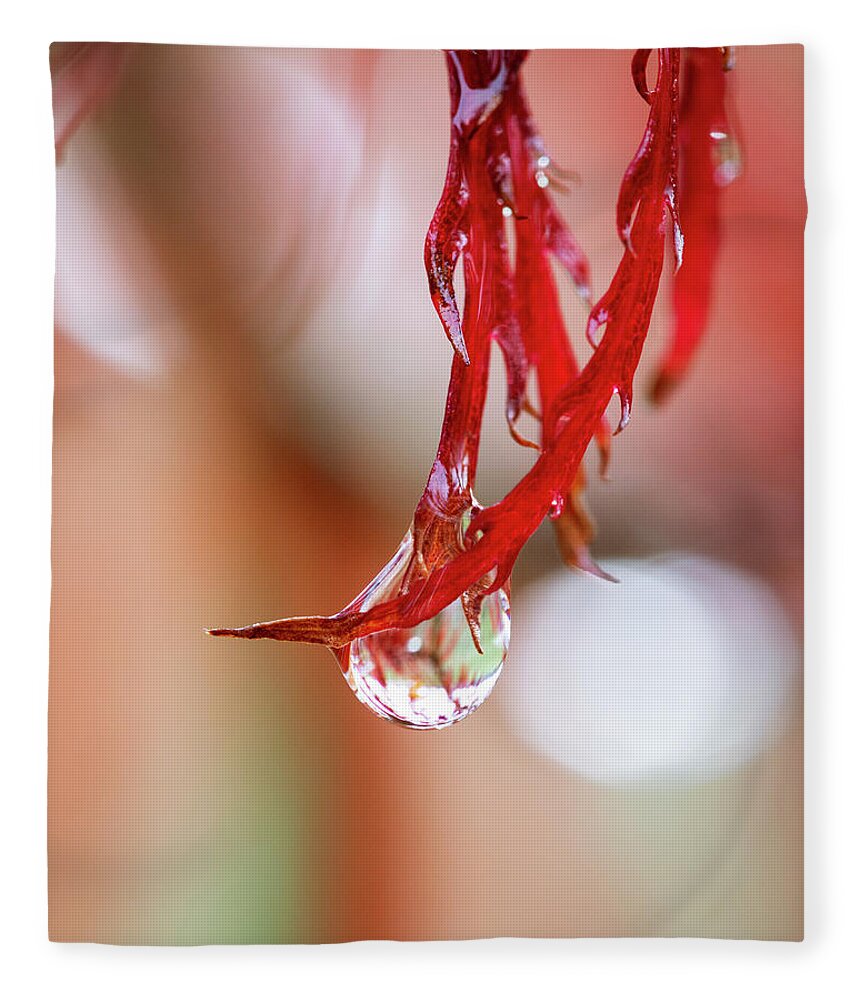 Japanese Maple Fleece Blanket featuring the photograph Droplet by Catherine Avilez