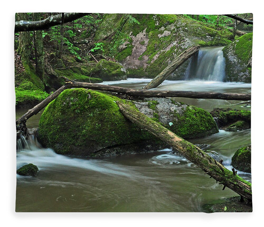 Stream Fleece Blanket featuring the photograph Dual Falls by Glenn Gordon