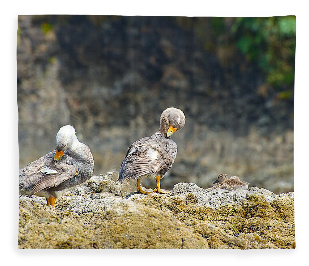 Photograph Fleece Blanket featuring the photograph Ducks on a Rock by Richard Gehlbach