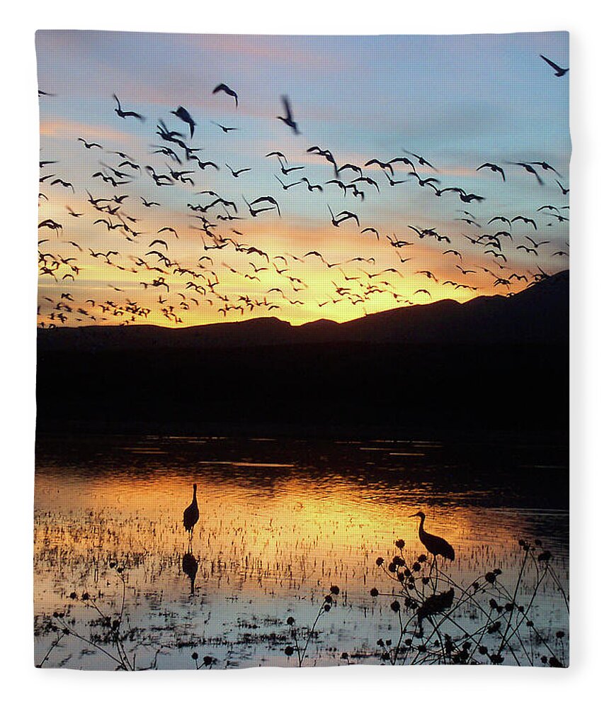 Water Fleece Blanket featuring the photograph Dusk at Bosque del Apache by Jerry Griffin
