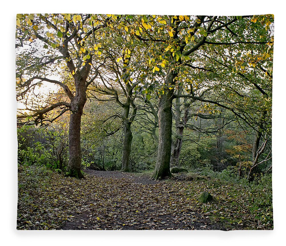 Autumn Fleece Blanket featuring the photograph Dusk in the autumn woods. by Elena Perelman