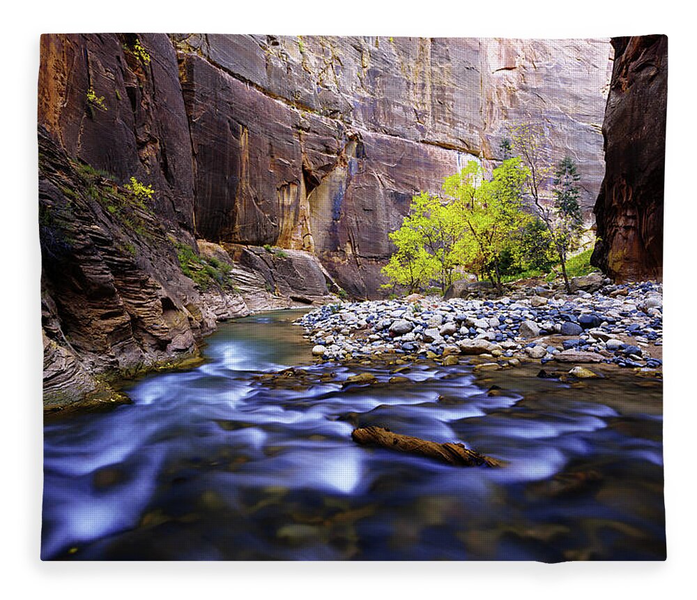 Dynamic Zion Fleece Blanket featuring the photograph Dynamic Zion by Chad Dutson