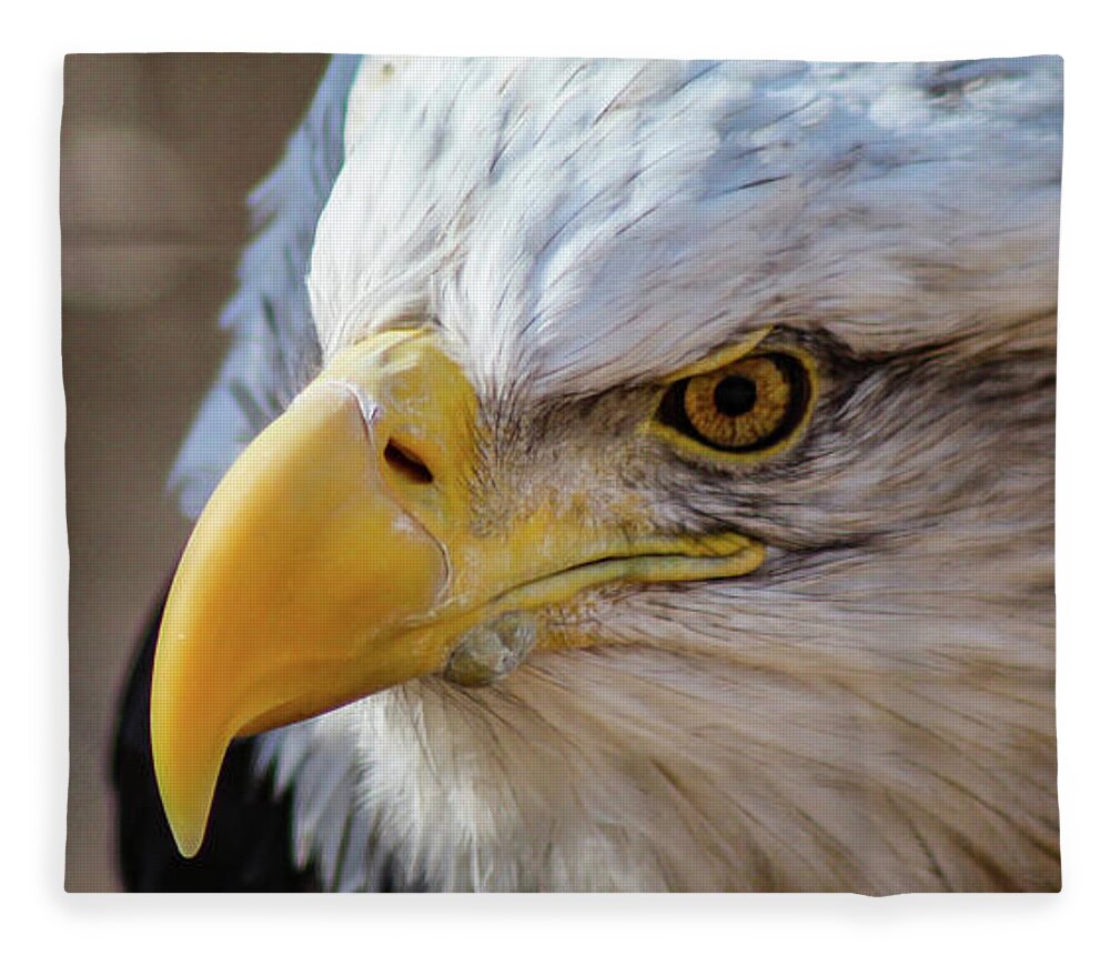 Bald Eagle Fleece Blanket featuring the photograph Eagle Eye by Holly Ross