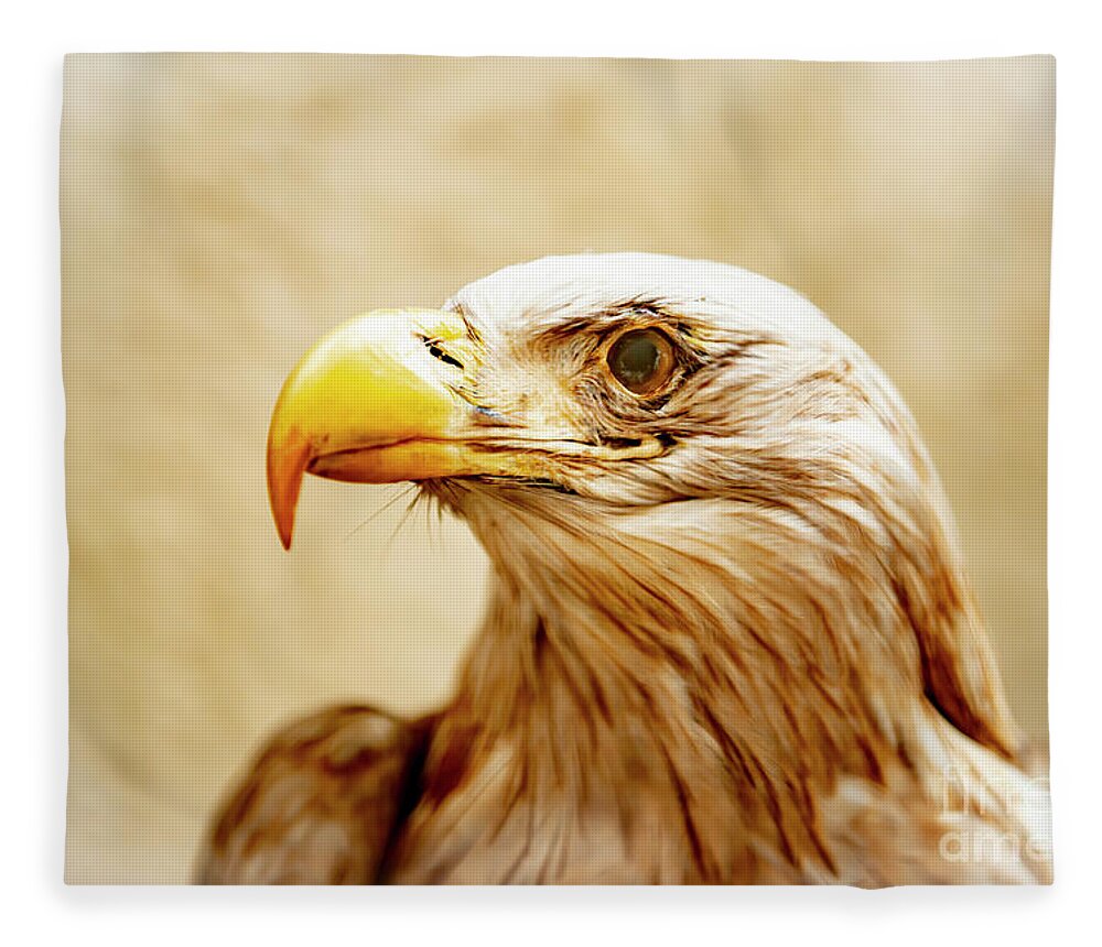 Eagle Fleece Blanket featuring the photograph Eagle by Mats Silvan