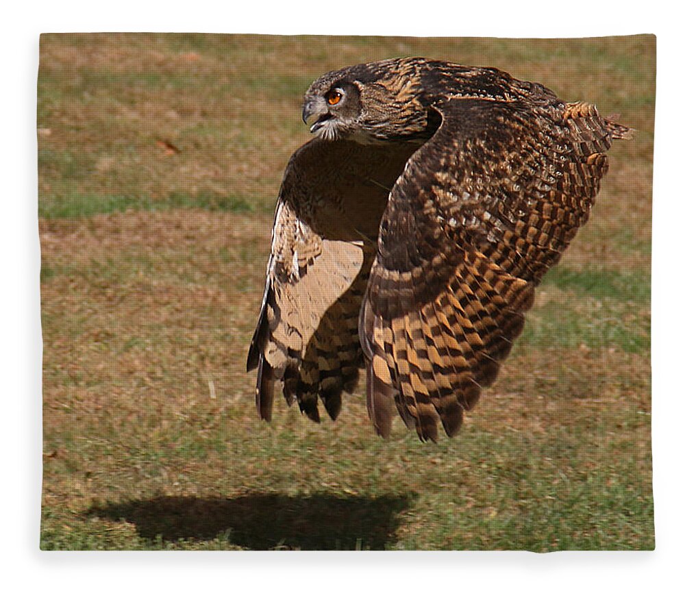 Wildlife Fleece Blanket featuring the photograph Eagle Owl On the Hunt 2 by William Selander