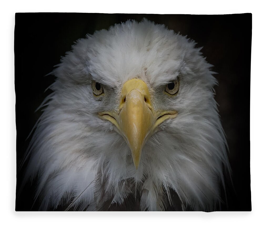 Bald Eagle Fleece Blanket featuring the photograph Eagle Stare by Ernest Echols