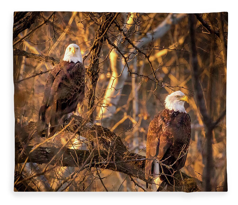 Eagle Fleece Blanket featuring the photograph Eagles by Allin Sorenson