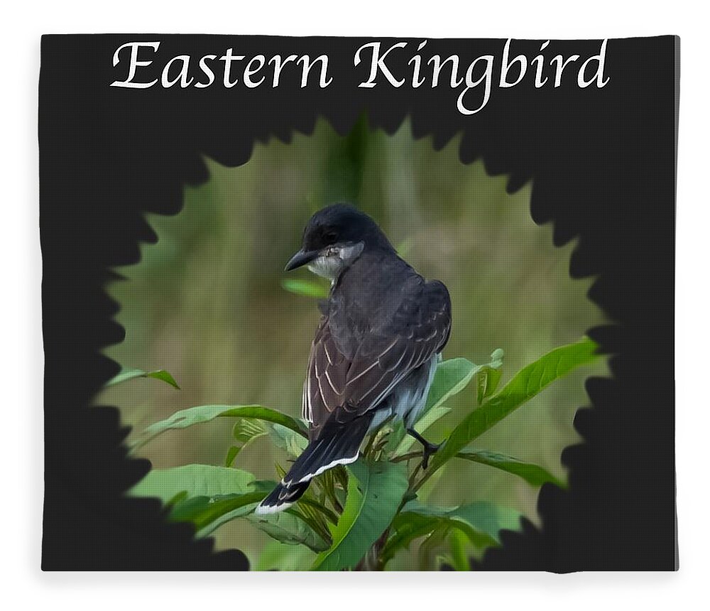 Eastern Kingbird Fleece Blanket featuring the photograph Eastern Kingbird by Holden The Moment