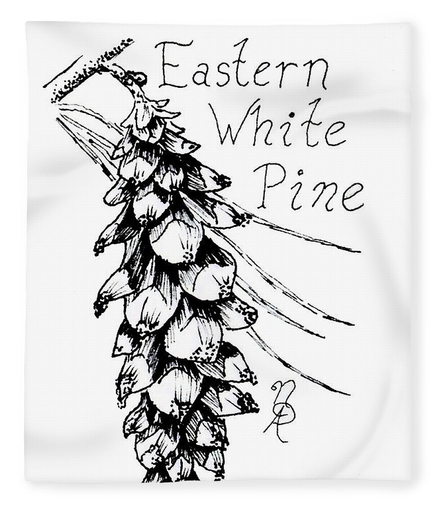 Pine Fleece Blanket featuring the drawing Eastern White Pine cone on a branch by Nicole Angell