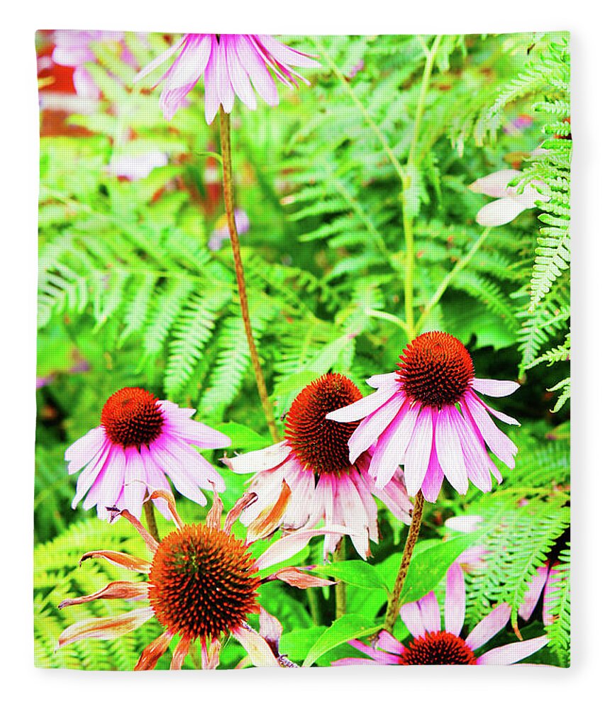 Background Fleece Blanket featuring the photograph Echinacea flowers by Tom Gowanlock