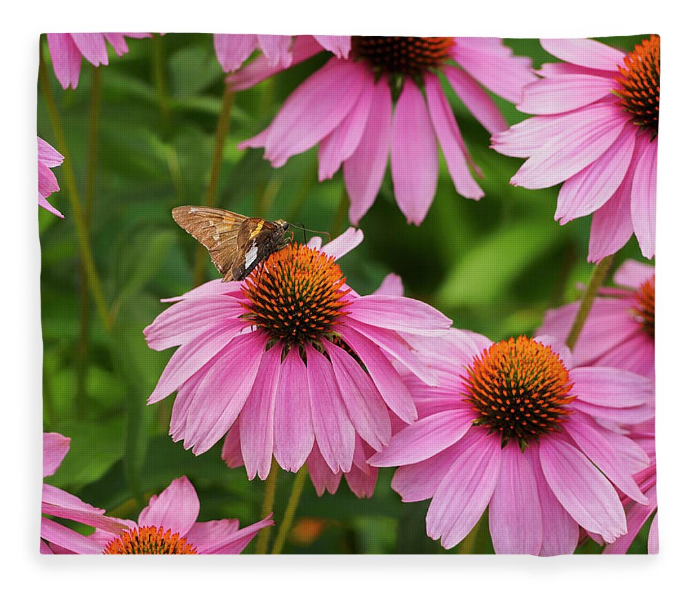 Valentines Day Fleece Blanket featuring the photograph Echinacea in Bloom by Marianne Campolongo