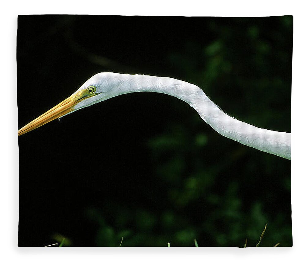 Egret Fleece Blanket featuring the photograph Egret 1 by Ted Keller