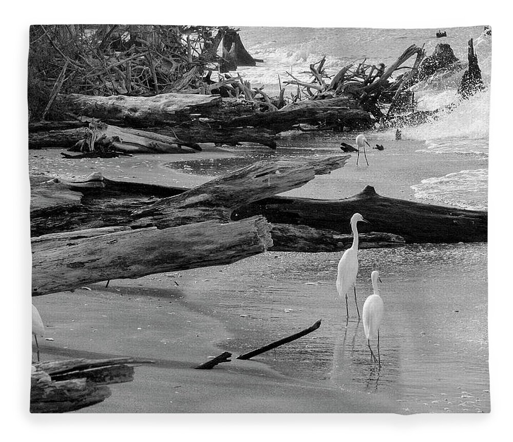 Photo For Sale Fleece Blanket featuring the photograph Egrets in Paradise by Robert Wilder Jr