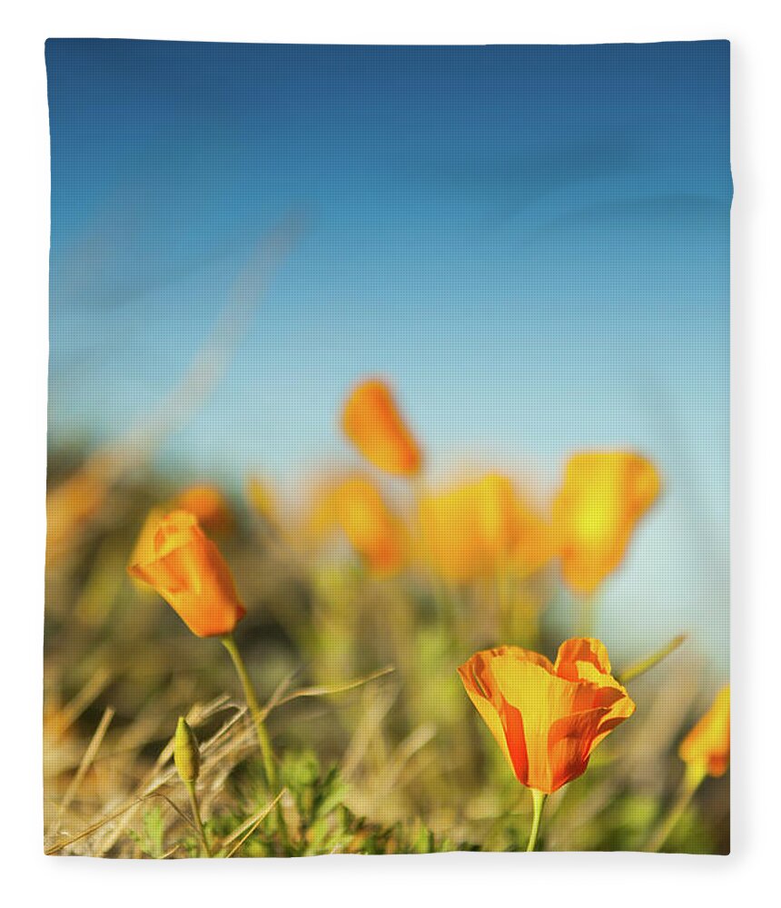 California Poppy Fleece Blanket featuring the photograph El Paso Poppies by SR Green