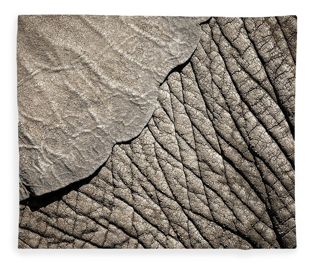 Elephant Fleece Blanket featuring the photograph Elephant Ear by Deborah Penland
