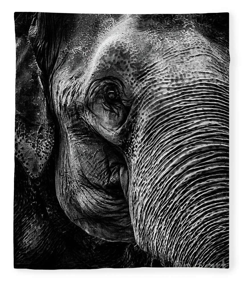 Mona Stut Fleece Blanket featuring the photograph Elephant Portrait In Black And White by Mona Stut