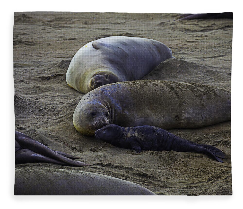 Elephant Fleece Blanket featuring the photograph Elephant Seal Mom And Pup by Garry Gay