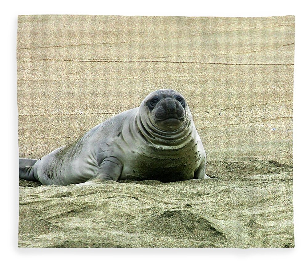 Elephant Seal Fleece Blanket featuring the photograph Elephant Seal Pup by Anthony Jones