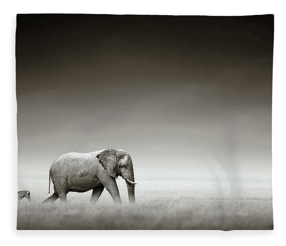 #faatoppicks Fleece Blanket featuring the photograph Elephant with zebra by Johan Swanepoel