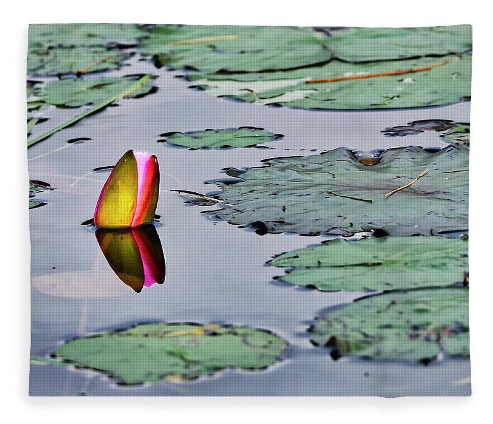 Water Lily Fleece Blanket featuring the photograph Emerging Water Lily by Steven Ralser