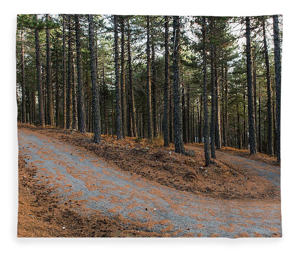Forest Landscape Fleece Blanket featuring the photograph Empty road passing through the forest in Autumn by Michalakis Ppalis
