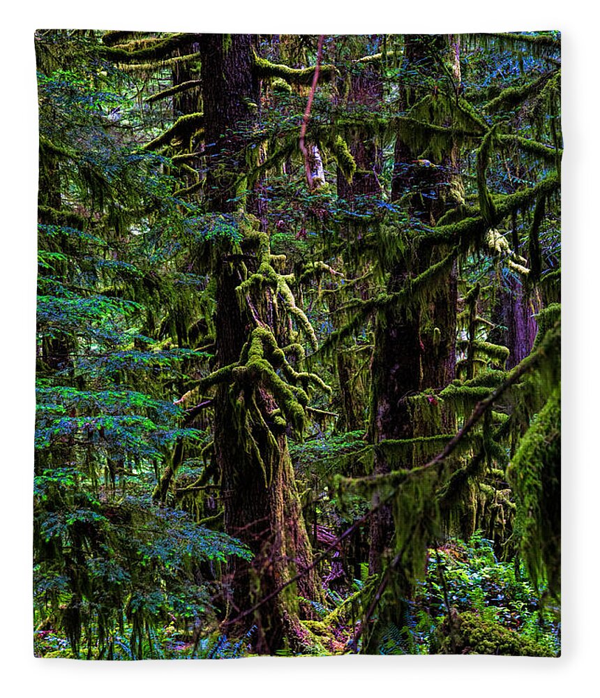 Rain Forest Fleece Blanket featuring the photograph Enchanted by Alana Thrower