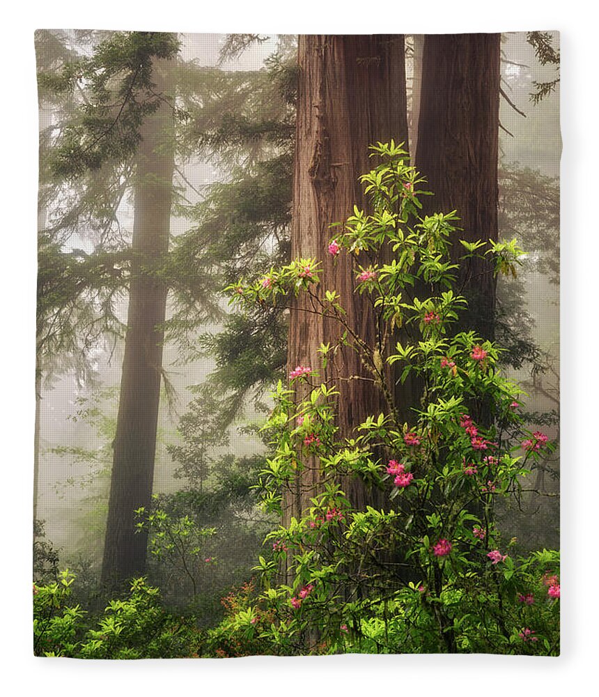 California Fleece Blanket featuring the photograph Ethereal by Nicki Frates