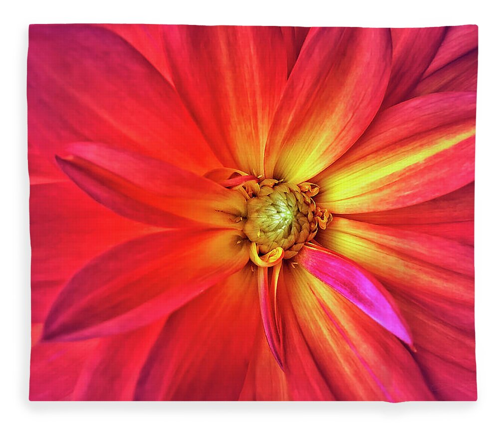 Dahlia Fleece Blanket featuring the photograph Eye of the Storm by Jill Love