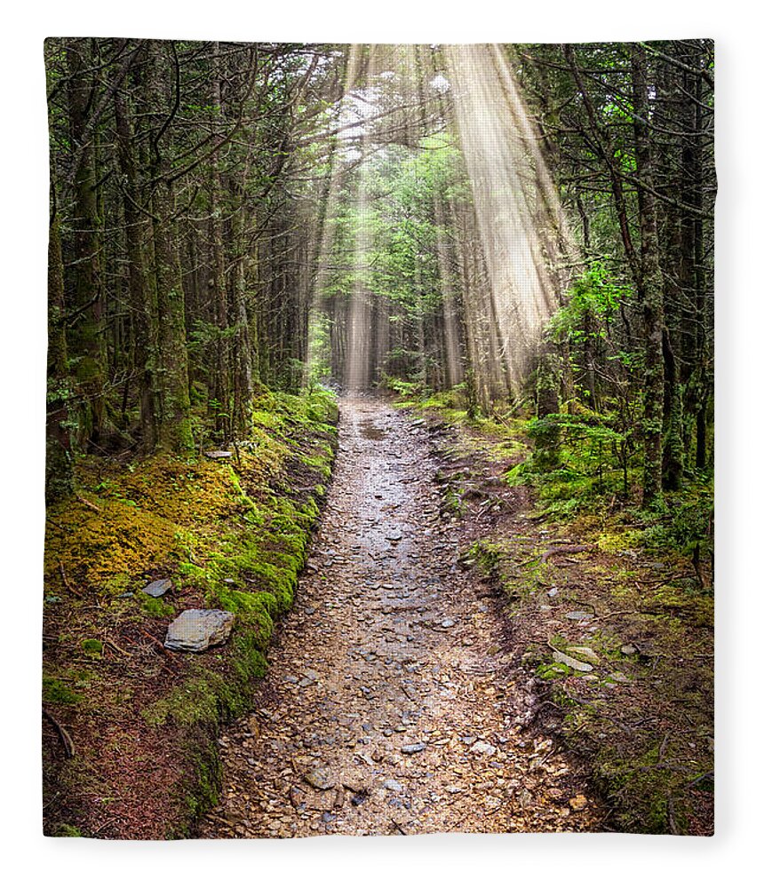 Appalachia Fleece Blanket featuring the photograph Fairy Garden by Debra and Dave Vanderlaan