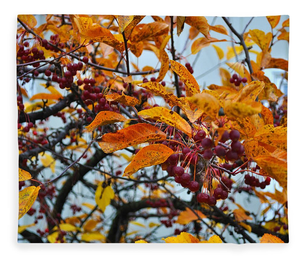 Berries Fleece Blanket featuring the photograph Fall Berries by Tim Nyberg