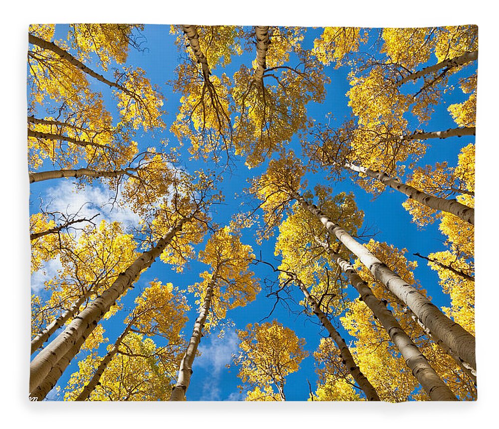 Arizona Fleece Blanket featuring the photograph Fall Colored Aspens in the Inner Basin by Jeff Goulden