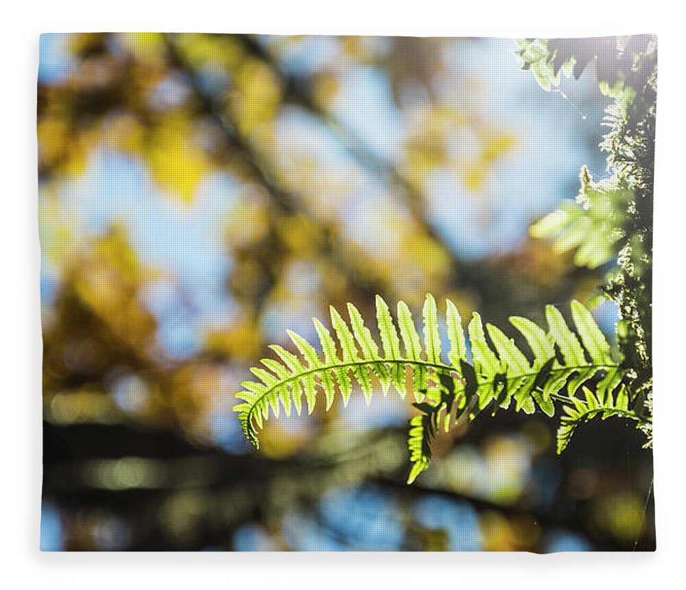 Fern Fleece Blanket featuring the photograph Fall Ferns 3 by Pelo Blanco Photo