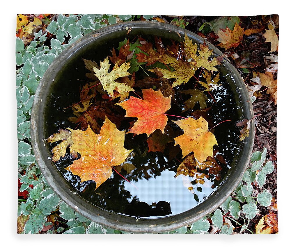 Bird Bath Fleece Blanket featuring the photograph Fall in the Water by David T Wilkinson