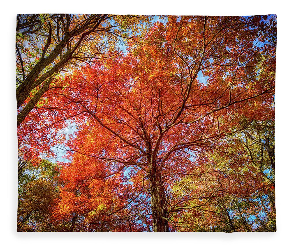 Landscape Fleece Blanket featuring the photograph Fall Red by Joe Shrader