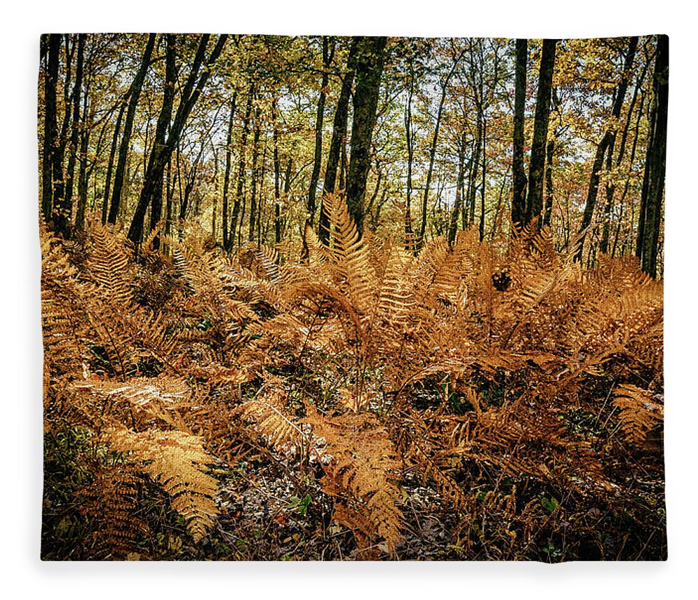 Landscape Fleece Blanket featuring the photograph Fall Rust by Joe Shrader