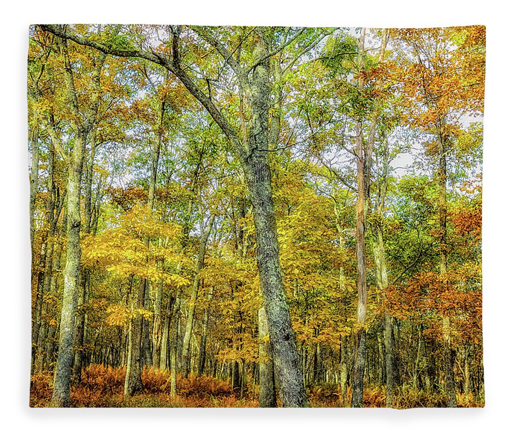 Landscape Fleece Blanket featuring the photograph Fall Yellow by Joe Shrader