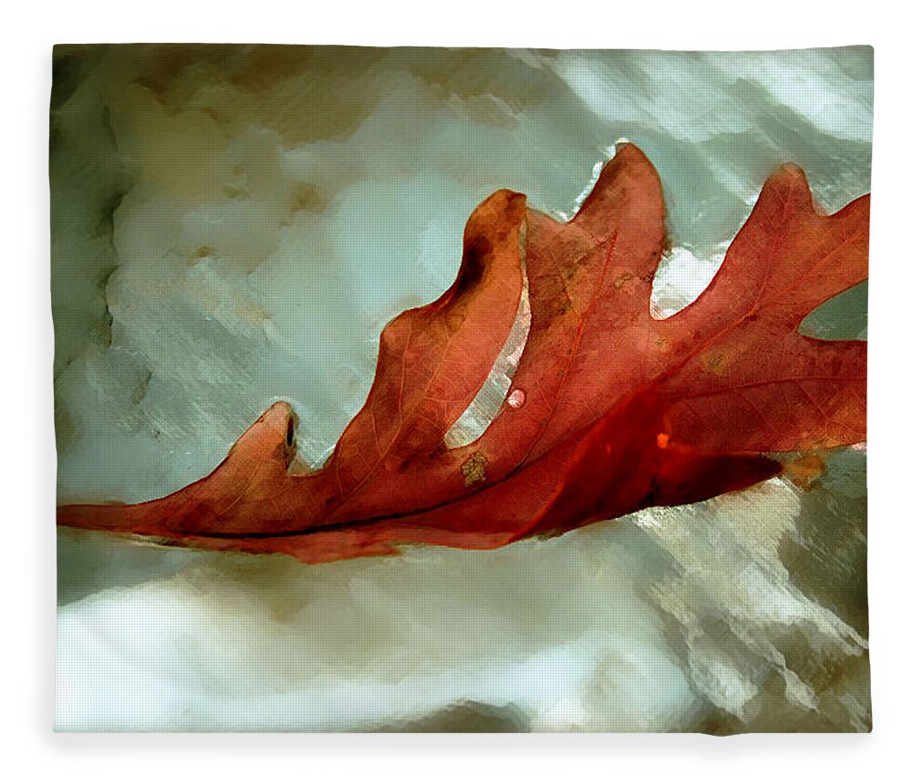 Nature Fleece Blanket featuring the photograph Fallen Leaf by Linda Sannuti